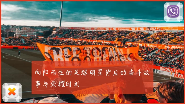 向阳而生的足球明星背后的奋斗故事与荣耀时刻