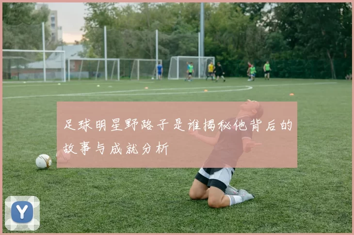 足球明星野路子是谁揭秘他背后的故事与成就分析