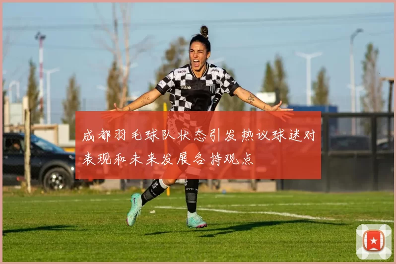 成都羽毛球队状态引发热议球迷对表现和未来发展各持观点