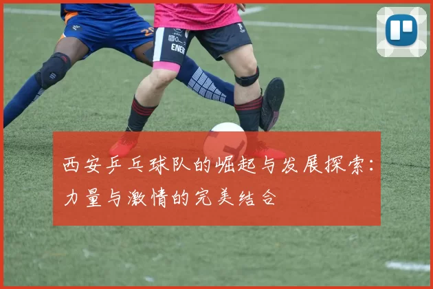 西安乒乓球队的崛起与发展探索：力量与激情的完美结合