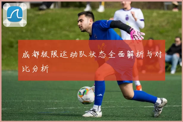 成都极限运动队状态全面解析与对比分析
