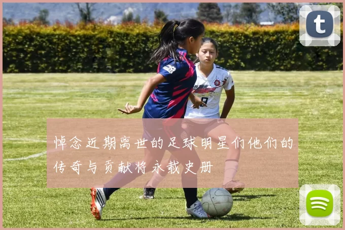 悼念近期离世的足球明星们他们的传奇与贡献将永载史册