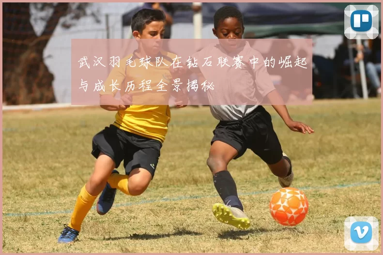 武汉羽毛球队在钻石联赛中的崛起与成长历程全景揭秘