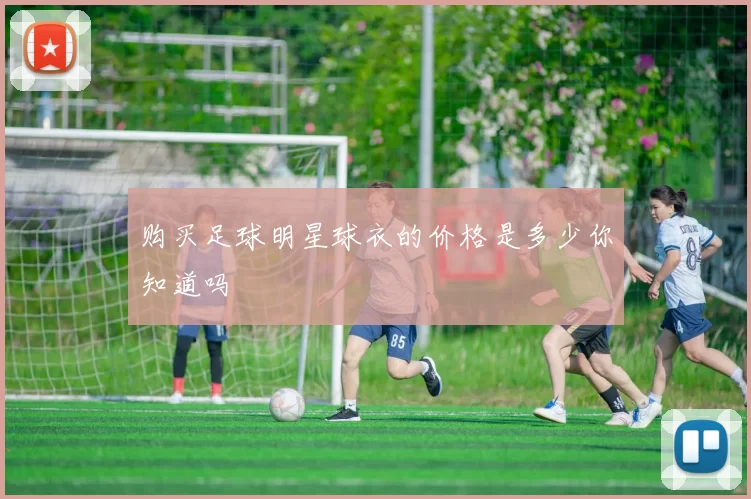 购买足球明星球衣的价格是多少你知道吗