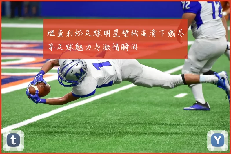 理查利松足球明星壁纸高清下载尽享足球魅力与激情瞬间