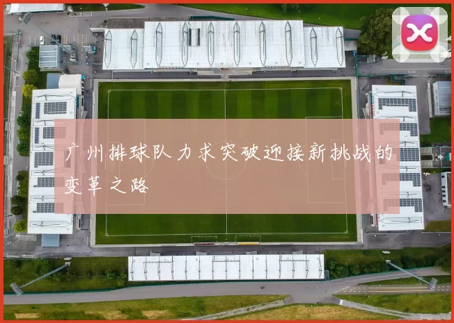 广州排球队力求突破迎接新挑战的变革之路