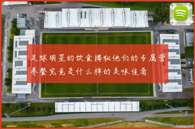 足球明星的饮食揭秘他们的专属营养餐究竟是什么样的美味佳肴